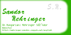 sandor mehringer business card